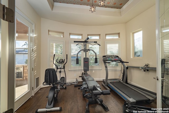 12 Denbury Gln, San Antonio, TX 78257 - workout area with a raised ceiling, dark wood-style floors, and ornamental molding