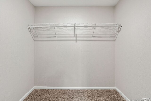 8810 Flint Vly, San Antonio, TX 78227 - walk in closet featuring carpet flooring
