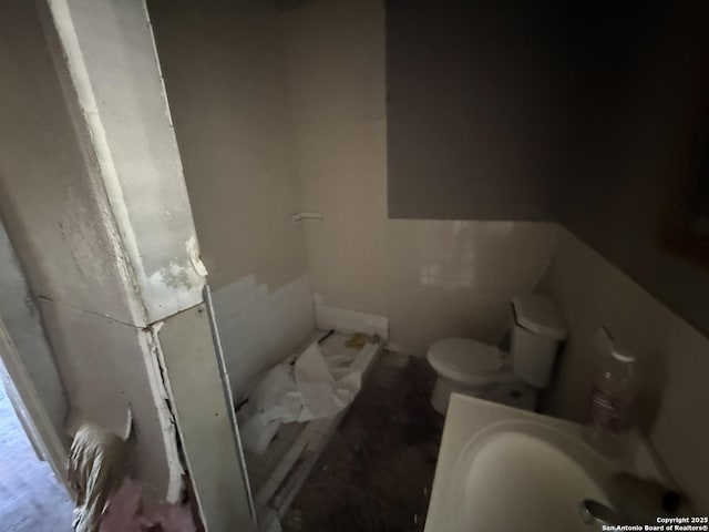 918 Potomac, San Antonio, TX 78202 - bathroom featuring toilet and a sink
