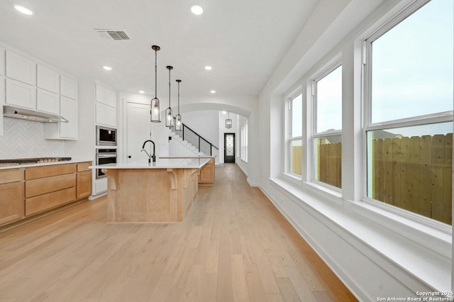 233 Alpine, New Braunfels, TX 78130 - kitchen featuring arched walkways, stainless steel appliances, tasteful backsplash, light wood-style flooring, and light countertops