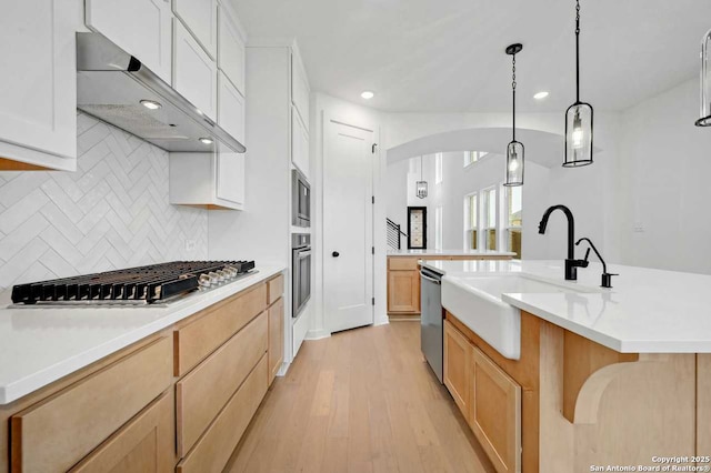 233 Alpine, New Braunfels, TX 78130 - kitchen with appliances with stainless steel finishes, extractor fan, arched walkways, light wood-style floors, and tasteful backsplash