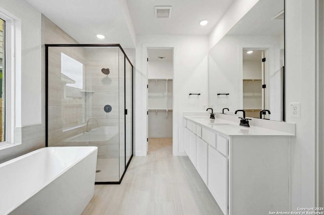233 Alpine, New Braunfels, TX 78130 - full bath with a walk in closet, a freestanding bath, a shower stall, double vanity, and recessed lighting