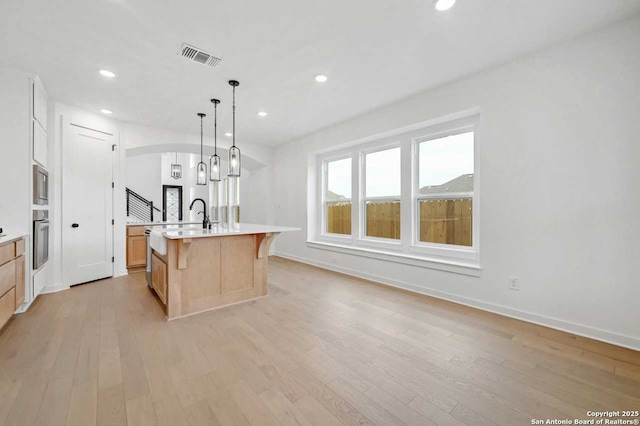 233 Alpine, New Braunfels, TX 78130 - kitchen with appliances with stainless steel finishes, light countertops, an island with sink, light wood-type flooring, and recessed lighting