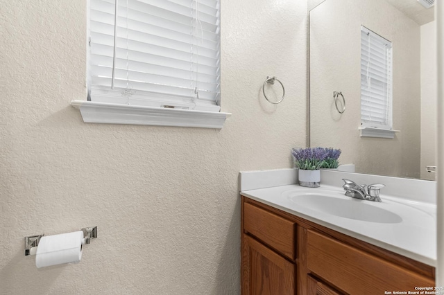 10223 Cactus Vly, San Antonio, TX 78254 - bathroom with vanity and a textured wall