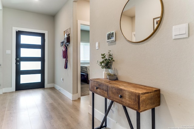 29125 Rock Cyn, Bulverde, TX 78163 - foyer entrance with plenty of natural light and light wood-style floors