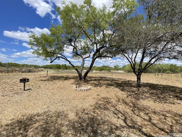 5515 Fm 462, Moore, TX 78057 - view of yard