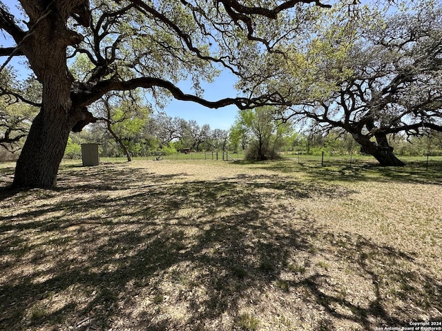 5515 Fm 462, Moore, TX 78057 - view of yard