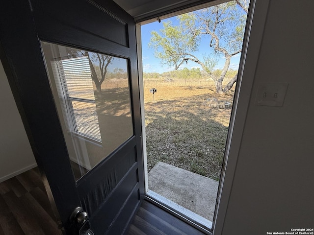 5515 Fm 462, Moore, TX 78057 - doorway with dark wood-style flooring