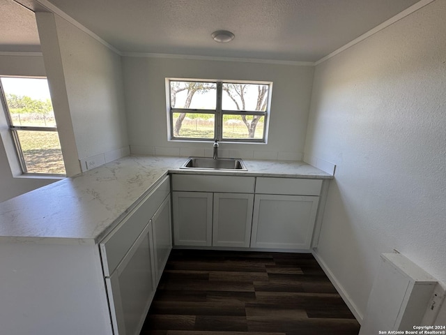5515 Fm 462, Moore, TX 78057 - kitchen featuring dark wood finished floors, plenty of natural light, a textured ceiling, a peninsula, and crown molding