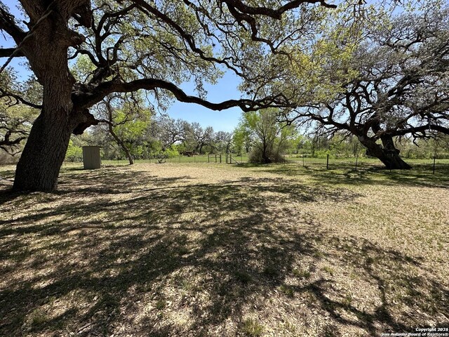 5515 Fm 462, Moore, TX 78057 - view of yard