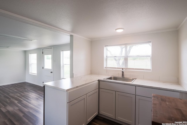 5515 Fm 462, Moore, TX 78057 - kitchen featuring a peninsula, a textured ceiling, dark wood-style flooring, crown molding, and plenty of natural light