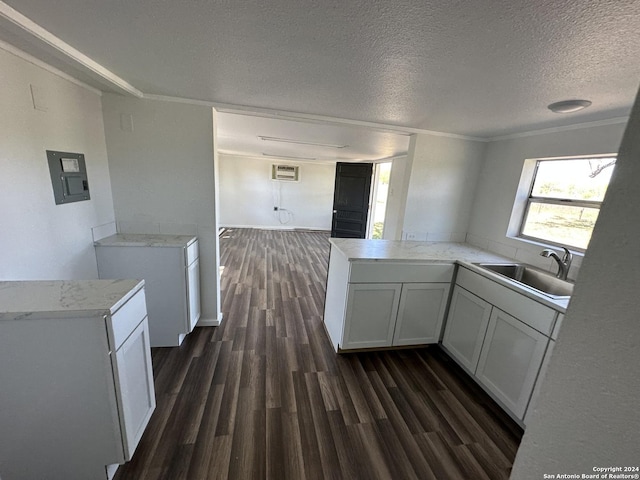 5515 Fm 462, Moore, TX 78057 - kitchen featuring dark wood-style flooring, crown molding, light countertops, a textured ceiling, and a peninsula