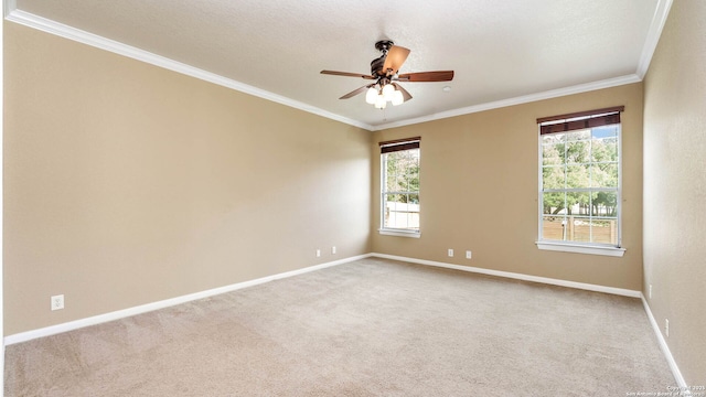 8023 Jalane Oaks, San Antonio, TX 78255 - unfurnished room with plenty of natural light, crown molding, carpet floors, and a ceiling fan