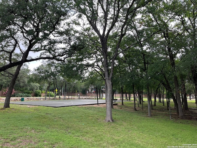 8023 Jalane Oaks, San Antonio, TX 78255 - surrounding community with a lawn and community basketball court