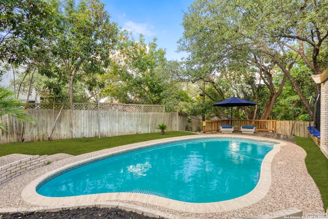 2915 Quail Oak, San Antonio, TX 78232 - view of swimming pool with a fenced backyard