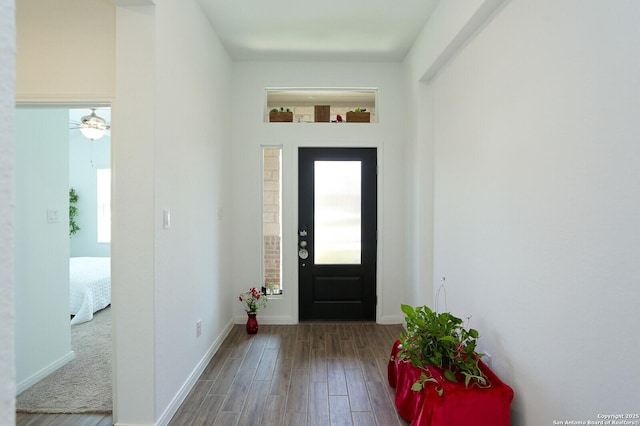 5798 Luciano Trl, Seguin, TX 78155 - entryway with wood finished floors and plenty of natural light
