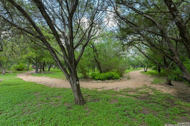 8822 Fernbrook, San Antonio, TX 78250 - view of community with a lawn