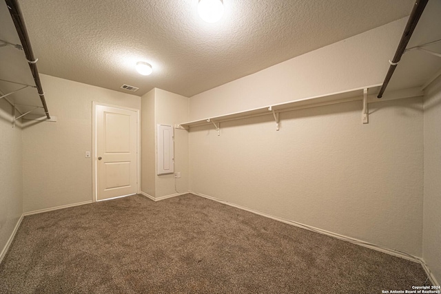 7119 Magnolia Blf, San Antonio, TX 78218 - walk in closet featuring carpet floors and electric panel