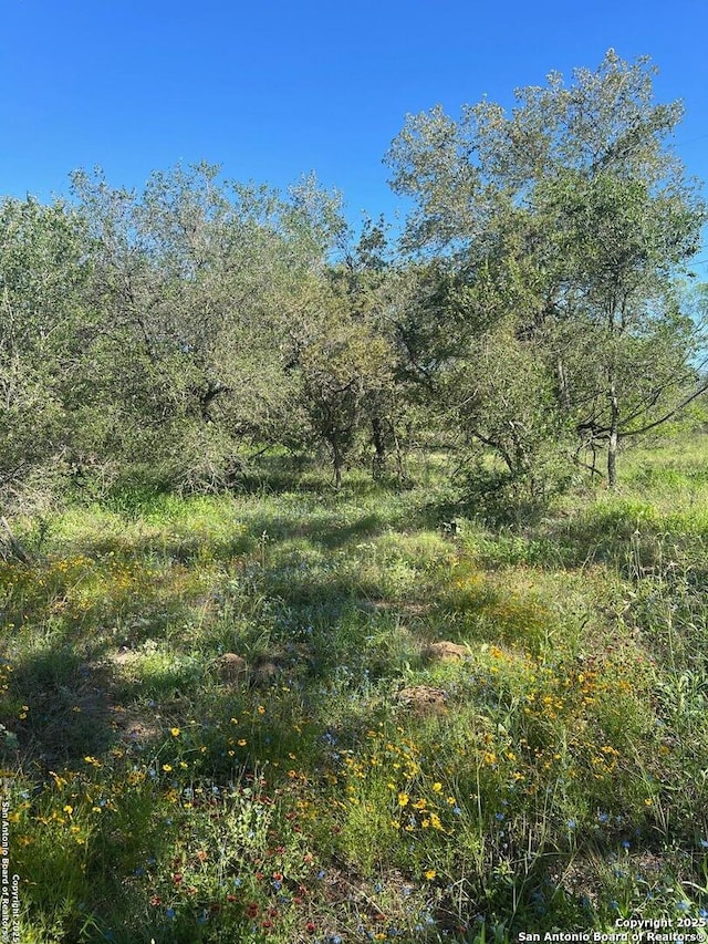 95 Trophy, Poteet, TX 78065