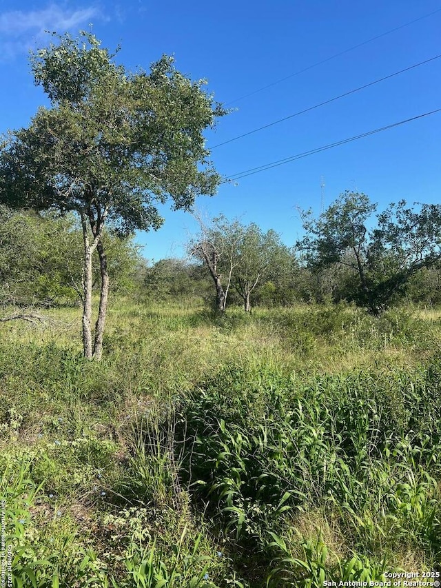 95 Trophy, Poteet, TX 78065