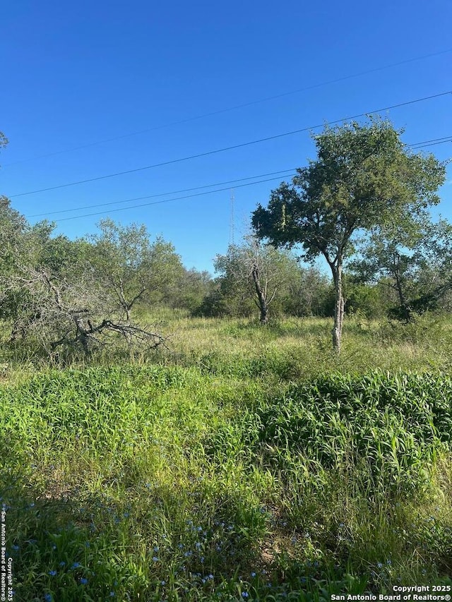 95 Trophy, Poteet, TX 78065