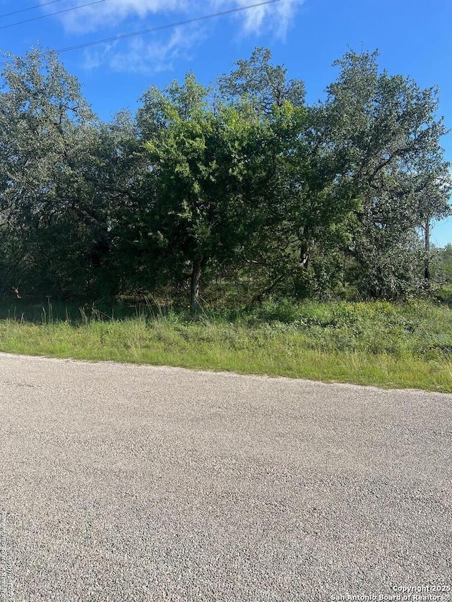 95 Trophy, Poteet, TX 78065