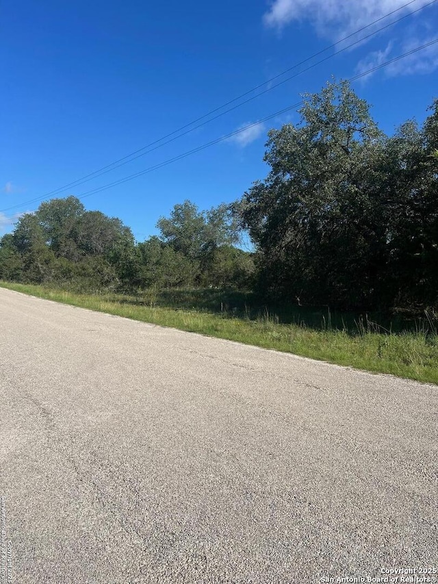 95 Trophy, Poteet, TX 78065