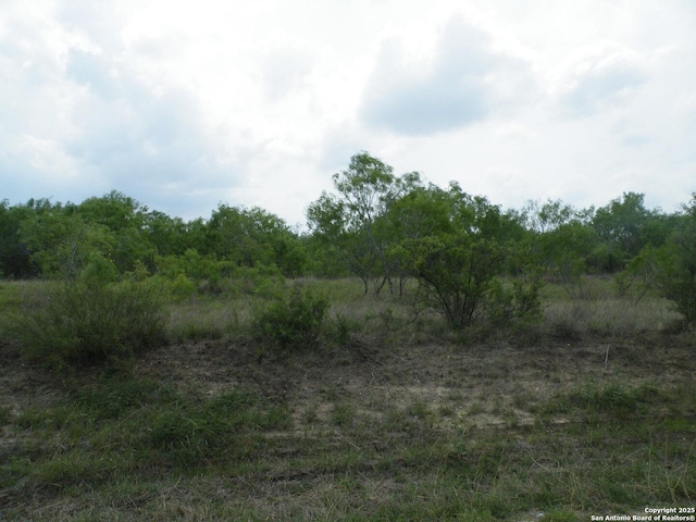 618 County Road 154, Pleasanton, TX 78064