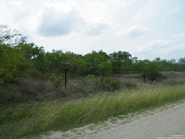 618 County Road 154, Pleasanton, TX 78064