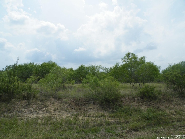 618 County Road 154, Pleasanton, TX 78064