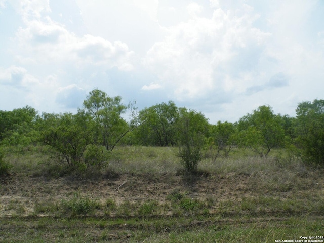 618 County Road 154, Pleasanton, TX 78064