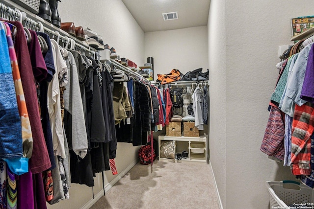 12108 Buckaroo Rnch, San Antonio, TX 78254 - walk in closet featuring carpet floors
