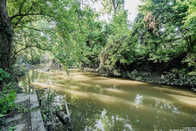 140 Riverview Rd, Mcqueeney, TX 78123 - water view featuring a heavily wooded area