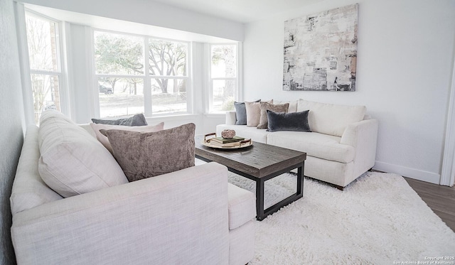 140 Riverview Rd, Mcqueeney, TX 78123 - living room featuring wood finished floors and baseboards