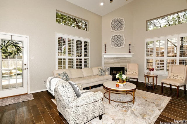 21539 Bubbling Crk, San Antonio, TX 78259 - living area featuring high vaulted ceiling, dark wood-style flooring, and a fireplace