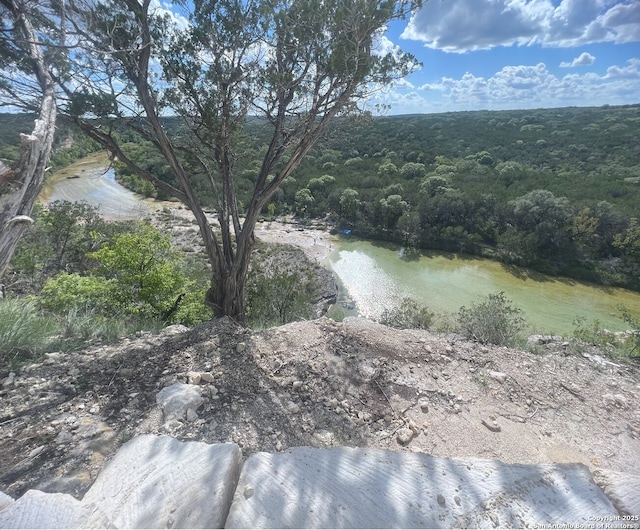 179 Cherry Springs Rd, Hunt, TX 78024 - water view featuring a forest