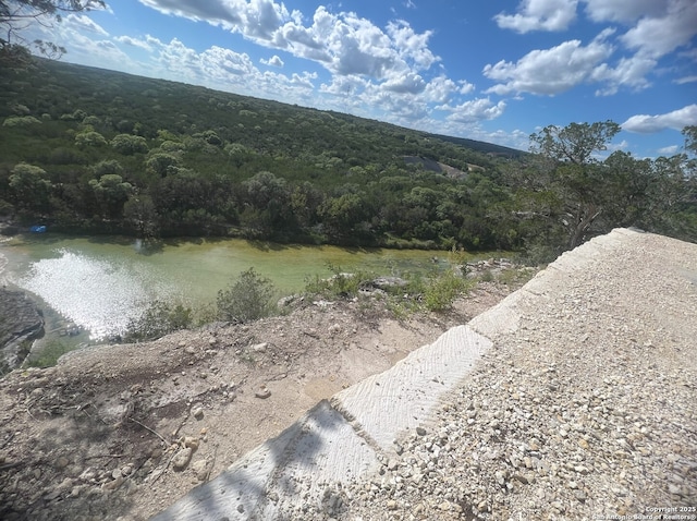 179 Cherry Springs Rd, Hunt, TX 78024 - water view with a forest