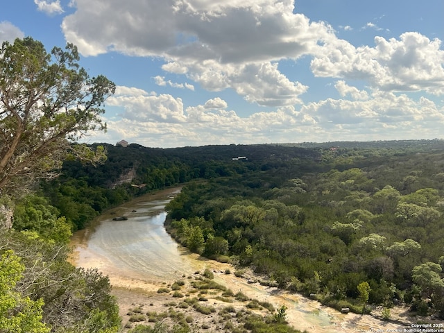 179 Cherry Springs Rd, Hunt, TX 78024 - water view with a forest