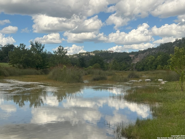 179 Cherry Springs Rd, Hunt, TX 78024 - water view with a forest