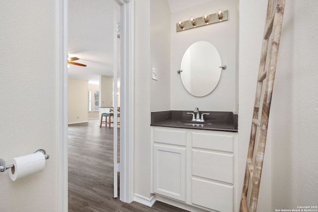 18706 Redriver, San Antonio, TX 78259 - bathroom with wood finished floors and vanity