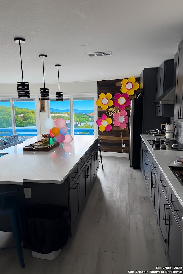 2165 Colleen Dr, Canyon Lake, TX 78133 - kitchen with light countertops, plenty of natural light, freestanding refrigerator, and dark cabinetry