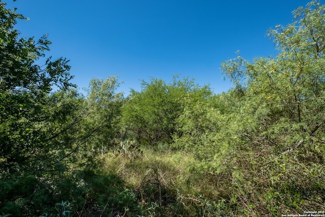 11922 Briarton Wls, San Antonio, TX 78254 - view of tree filled area