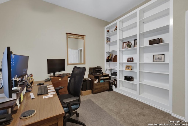 2363 Oak Pebble, New Braunfels, TX 78132 - home office featuring carpet