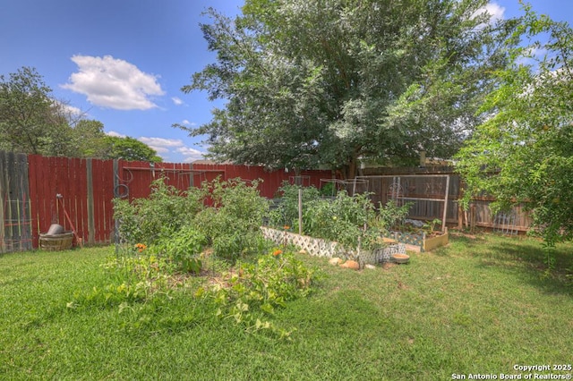 2363 Oak Pebble, New Braunfels, TX 78132 - fenced backyard featuring a vegetable garden