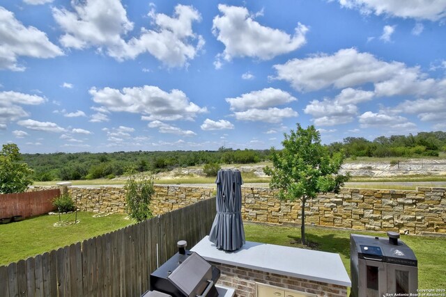 13019 Louberg, San Antonio, TX 78253 - view of yard