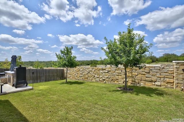 13019 Louberg, San Antonio, TX 78253 - view of yard