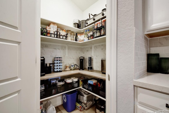 13019 Louberg, San Antonio, TX 78253 - view of pantry