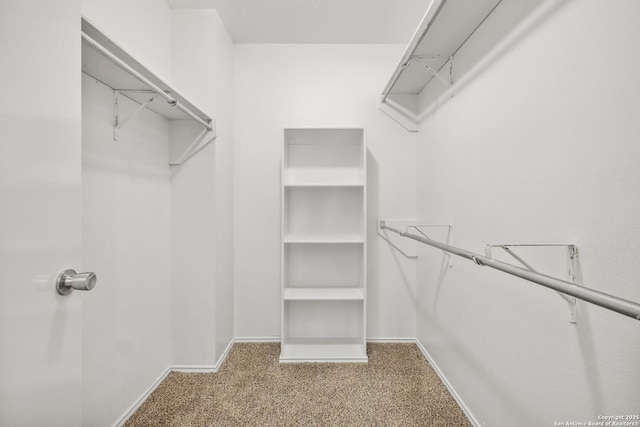 114 Crystal Cyn, Universal City, TX 78148 - walk in closet featuring carpet flooring