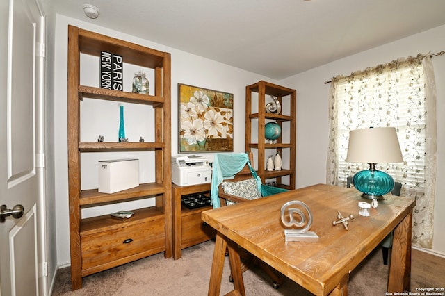 10746 Margarita Loop, Converse, TX 78109 - office featuring light carpet