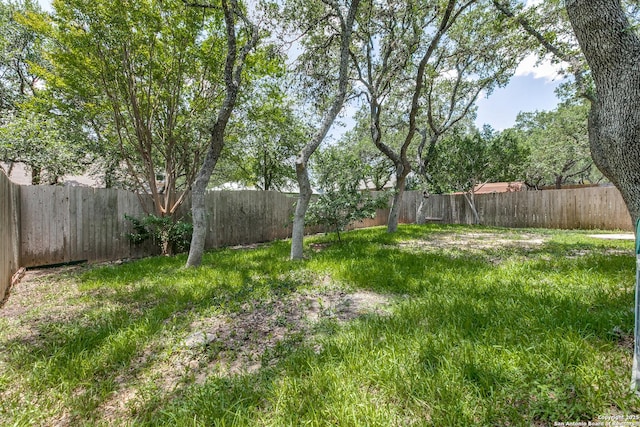 8658 Quail Whisper, San Antonio, TX 78250 - view of fenced backyard